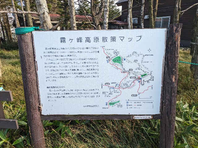 f:id:datsuryokuman:20230903142728j:image