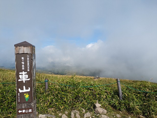 f:id:datsuryokuman:20230903142854j:image