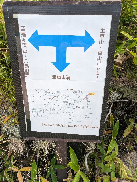 f:id:datsuryokuman:20230903143640j:image