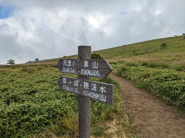 f:id:datsuryokuman:20230903143836j:image