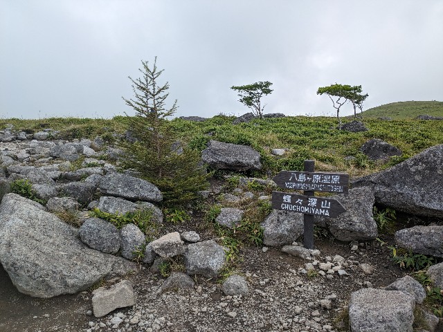 f:id:datsuryokuman:20230903143849j:image