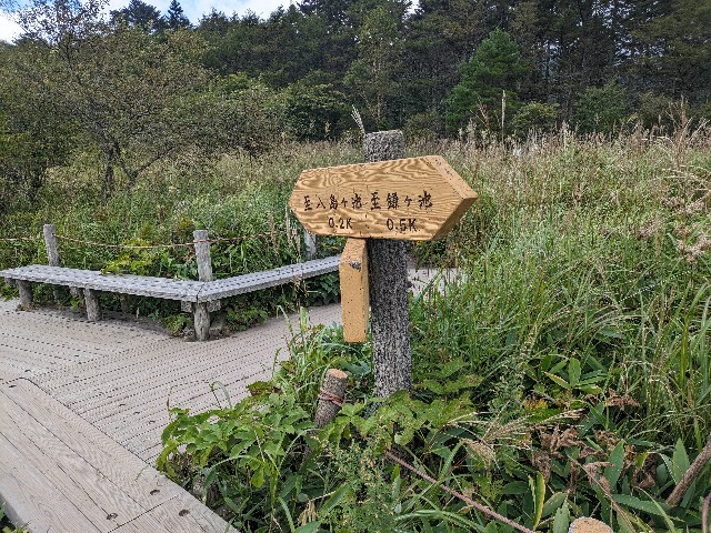 f:id:datsuryokuman:20230903144248j:image