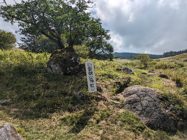 f:id:datsuryokuman:20230903144809j:image