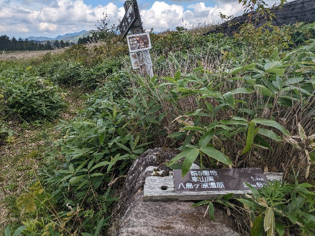 f:id:datsuryokuman:20230903145139j:image