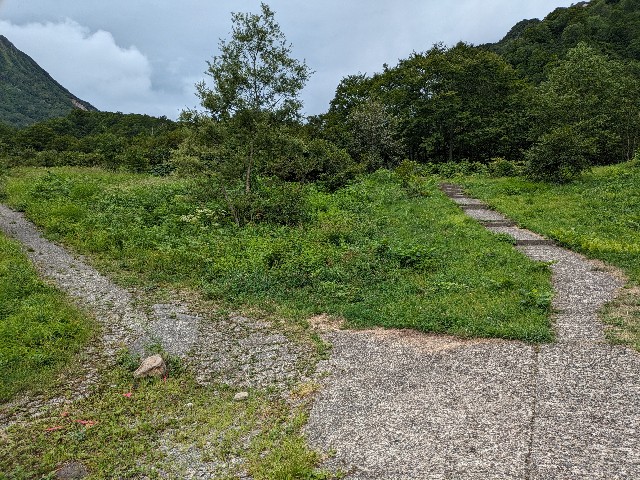 f:id:datsuryokuman:20230904212249j:image