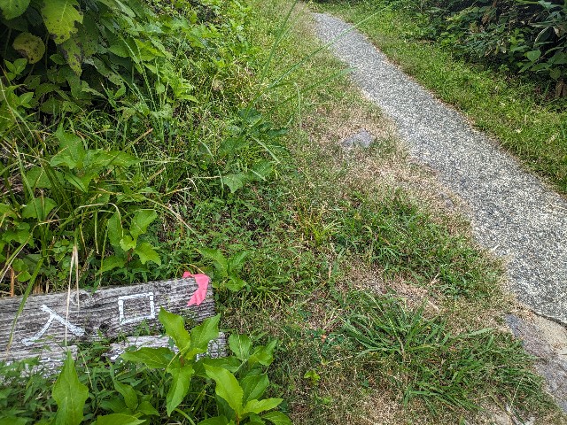 f:id:datsuryokuman:20230904212403j:image