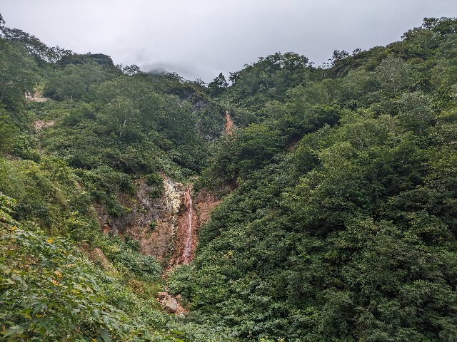 f:id:datsuryokuman:20230904212522j:image
