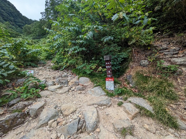 f:id:datsuryokuman:20230904212612j:image