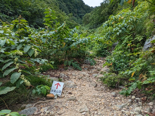 f:id:datsuryokuman:20230904212627j:image
