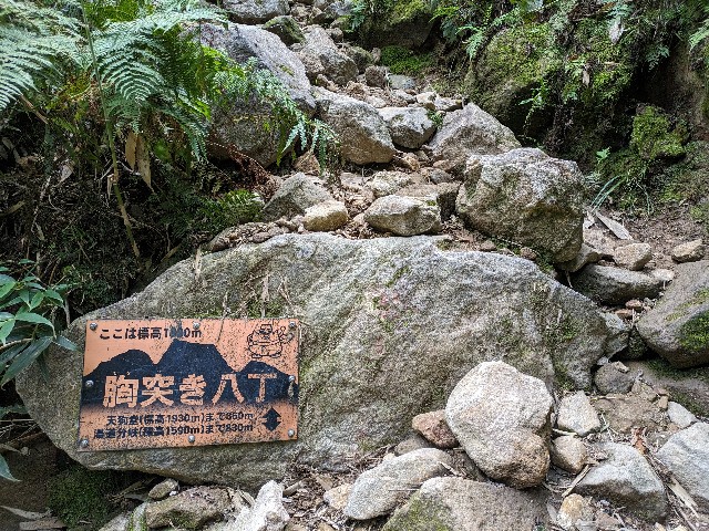 f:id:datsuryokuman:20230904212644j:image