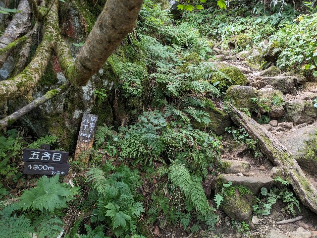 f:id:datsuryokuman:20230904212720j:image
