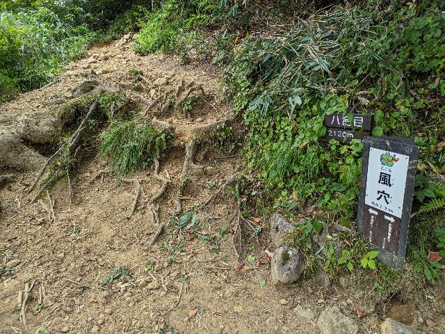 f:id:datsuryokuman:20230904213007j:image