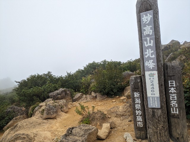 f:id:datsuryokuman:20230904213205j:image