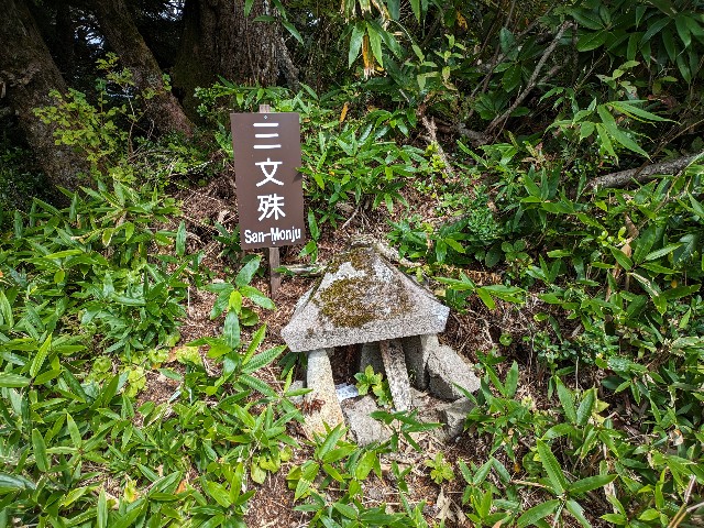 f:id:datsuryokuman:20230905170751j:image f:id:datsuryokuman:20230905170751j:image