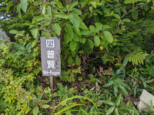 f:id:datsuryokuman:20230905170822j:image f:id:datsuryokuman:20230905170822j:image