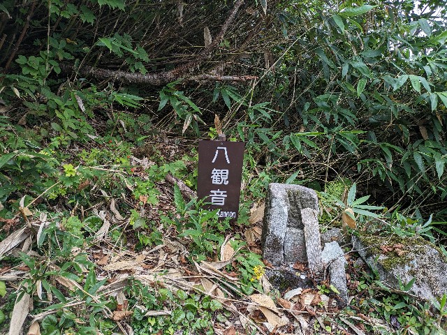 f:id:datsuryokuman:20230905171053j:image f:id:datsuryokuman:20230905171053j:image