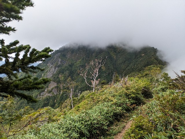 f:id:datsuryokuman:20230905171104j:image f:id:datsuryokuman:20230905171104j:image