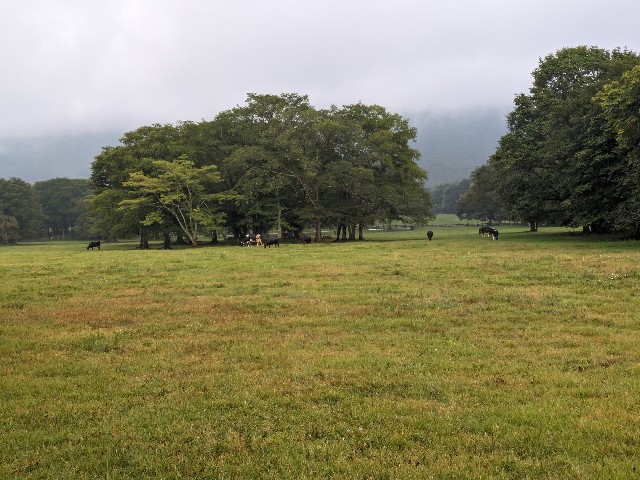f:id:datsuryokuman:20230905171407j:image f:id:datsuryokuman:20230905171407j:image
