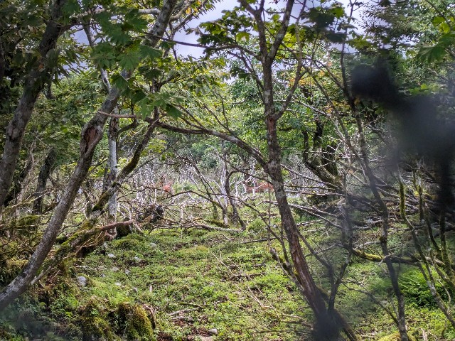f:id:datsuryokuman:20230908000729j:image