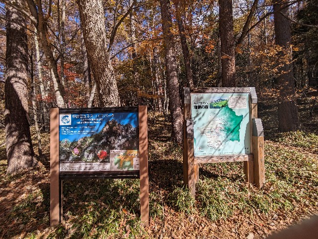 f:id:datsuryokuman:20231031180127j:image