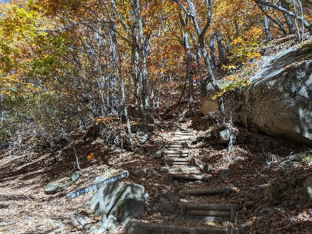 f:id:datsuryokuman:20231031180242j:image