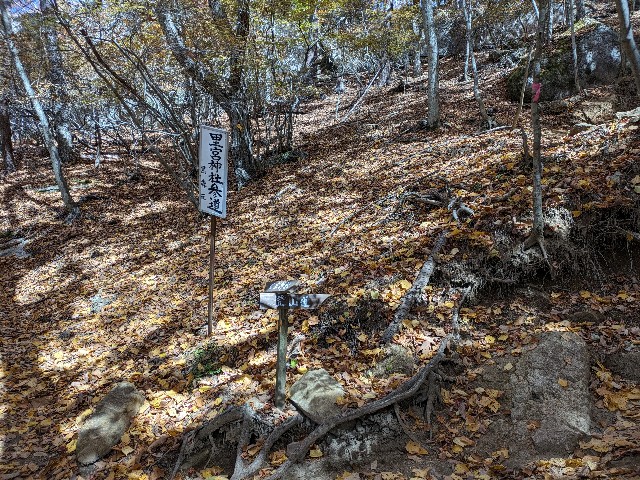 f:id:datsuryokuman:20231031180252j:image