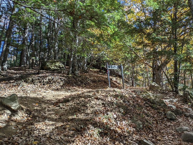 f:id:datsuryokuman:20231031180322j:image