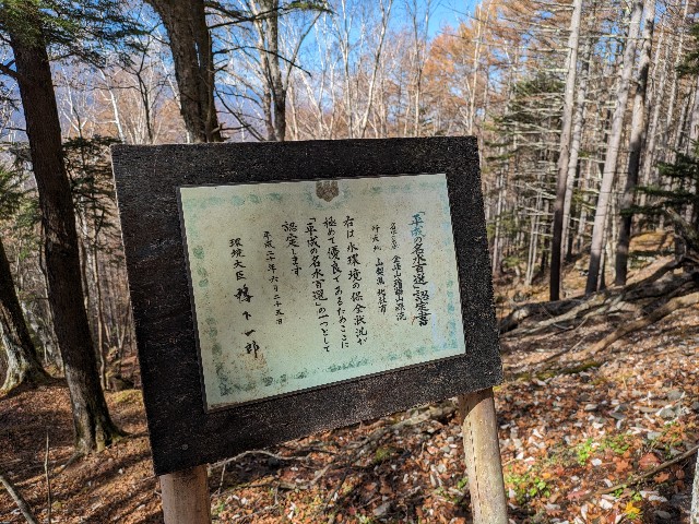 f:id:datsuryokuman:20231031180335j:image