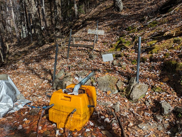 f:id:datsuryokuman:20231031180347j:image