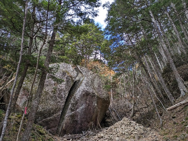 f:id:datsuryokuman:20231031180431j:image