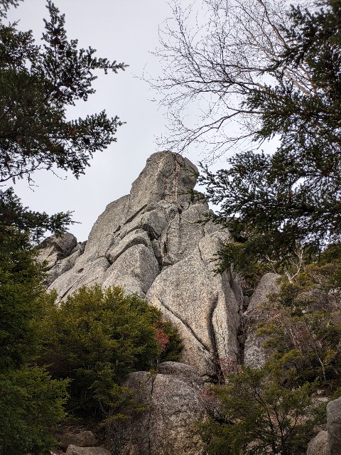 f:id:datsuryokuman:20231031180446j:image