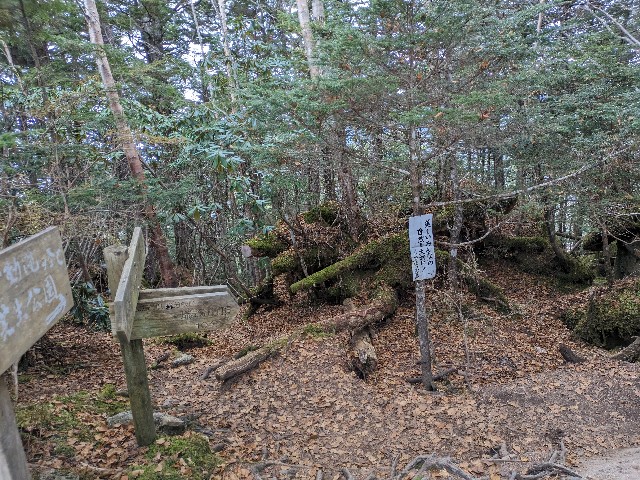 f:id:datsuryokuman:20231031180504j:image