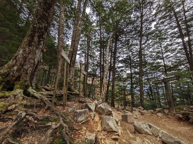 f:id:datsuryokuman:20231031180653j:image