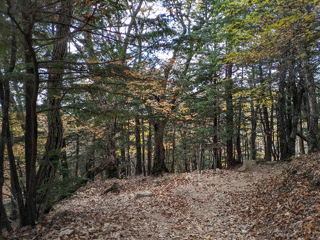 f:id:datsuryokuman:20231031180716j:image