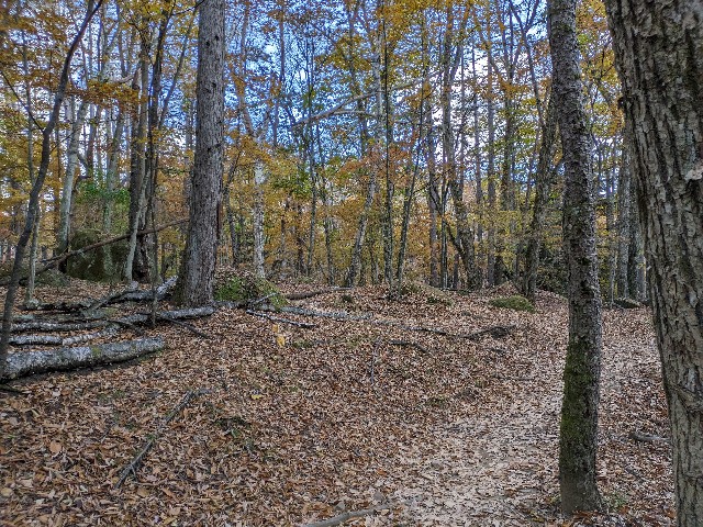 f:id:datsuryokuman:20231031180723j:image