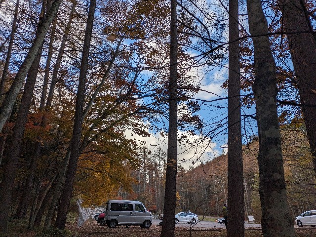 f:id:datsuryokuman:20231031180732j:image