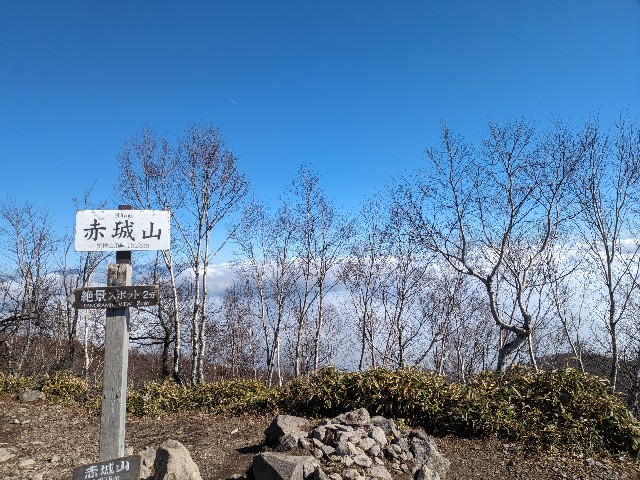 f:id:datsuryokuman:20231110172205j:image