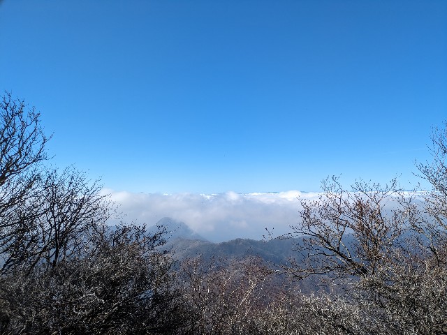 f:id:datsuryokuman:20231110172252j:image