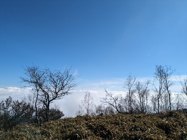 f:id:datsuryokuman:20231110172305j:image