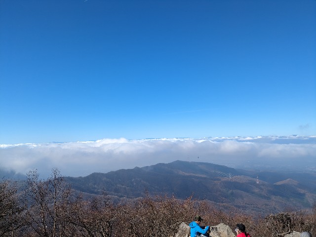 f:id:datsuryokuman:20231110172329j:image