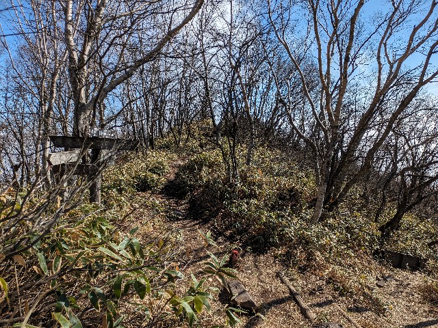 f:id:datsuryokuman:20231110172449j:image