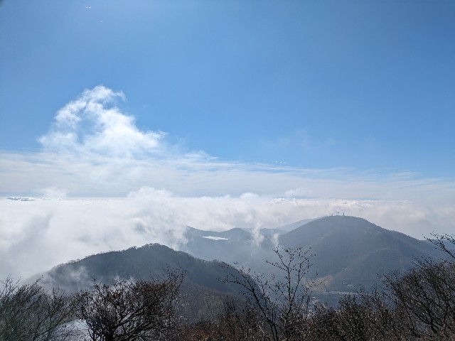f:id:datsuryokuman:20231110172505j:image