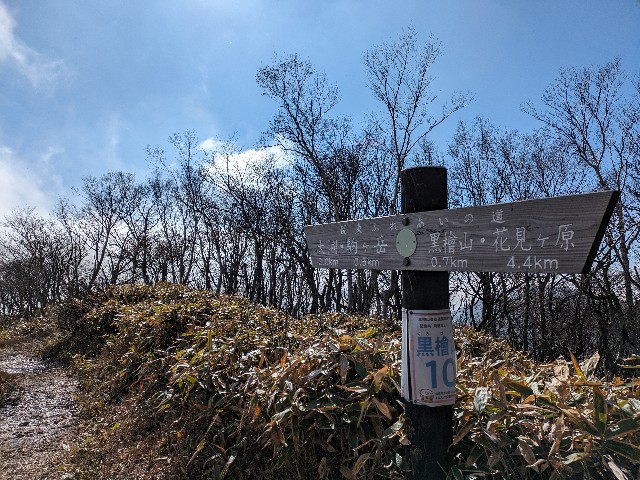 f:id:datsuryokuman:20231110172520j:image