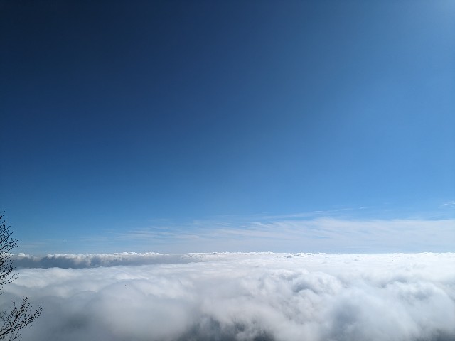 f:id:datsuryokuman:20231110172630j:image