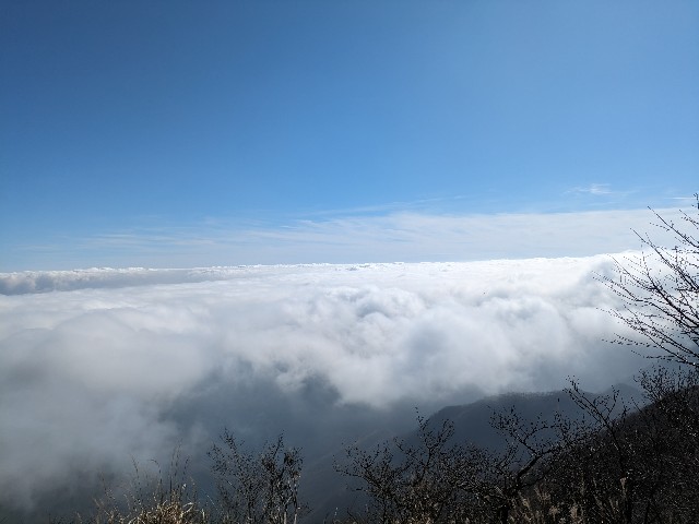 f:id:datsuryokuman:20231110172639j:image