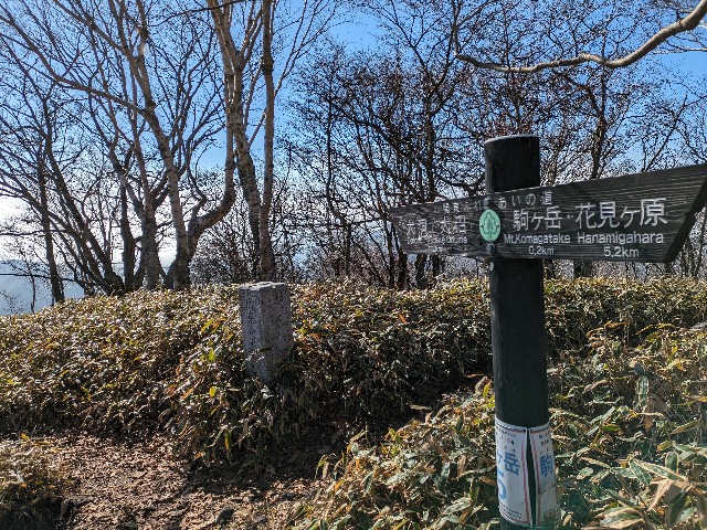 f:id:datsuryokuman:20231110172656j:image