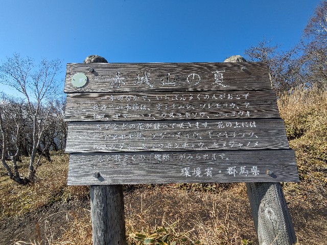 f:id:datsuryokuman:20231110172706j:image