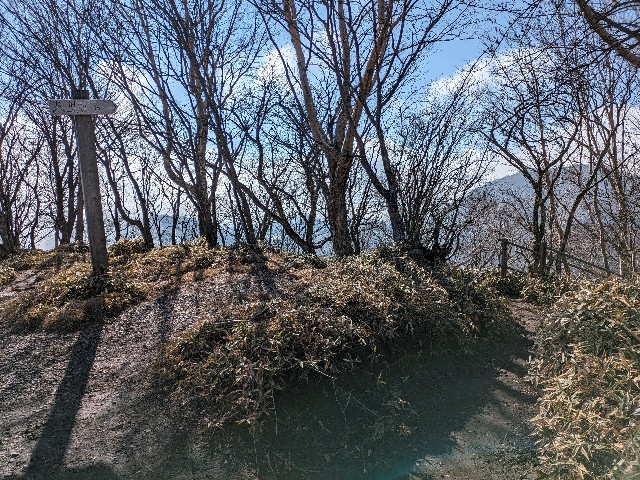 f:id:datsuryokuman:20231110172718j:image