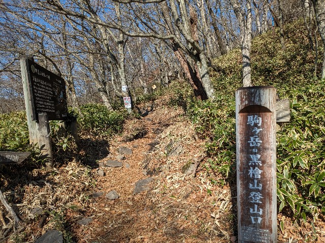 f:id:datsuryokuman:20231110172737j:image
