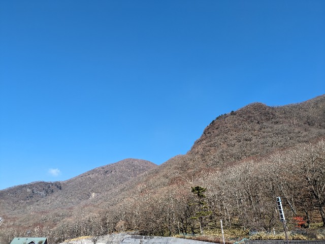 f:id:datsuryokuman:20231110172748j:image